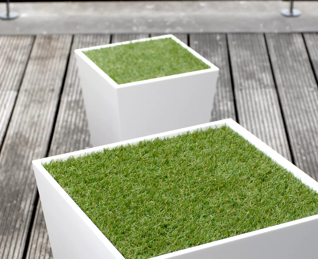 HIMACS: Grass Box
