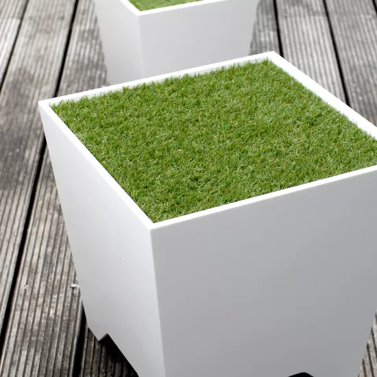 Grass Box