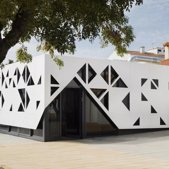 Spectacular HIMACS façade: traditional school architecture meets high-tech material 