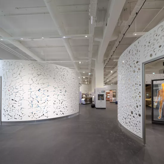 New exhibition at the Deutsches Museum uses high-tech HIMACS walls