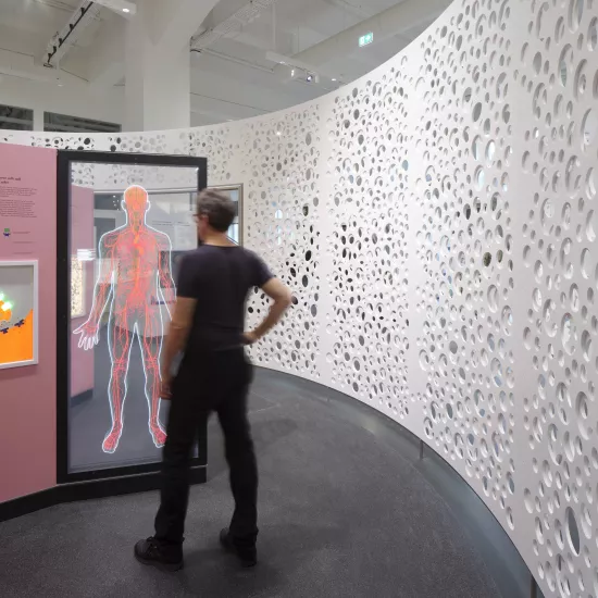 New exhibition at the Deutsches Museum uses high-tech HIMACS walls