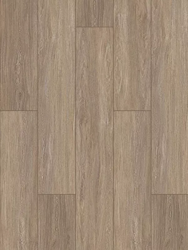 Washed Oak  Camel