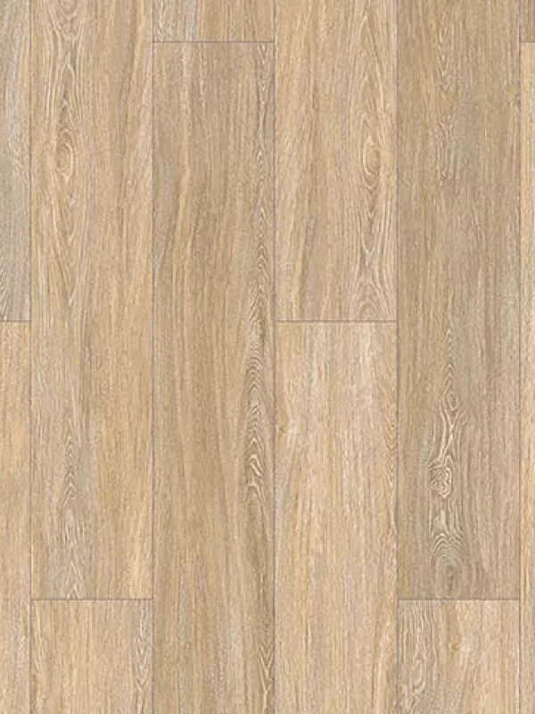 Washed Oak  Sunflower