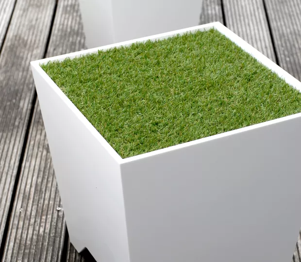 HIMACS: Grass Box