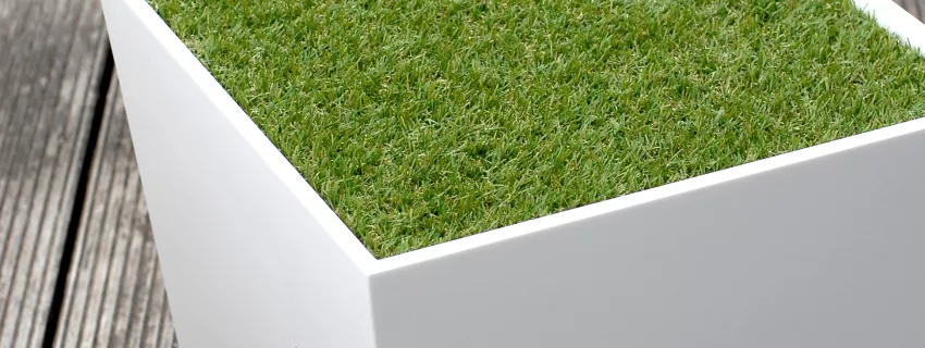 HIMACS: Grass Box