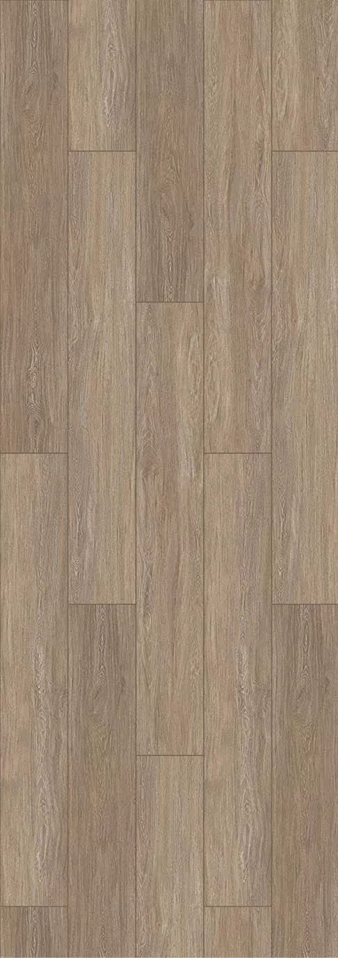Washed Oak  Camel