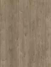 Khaki Timber