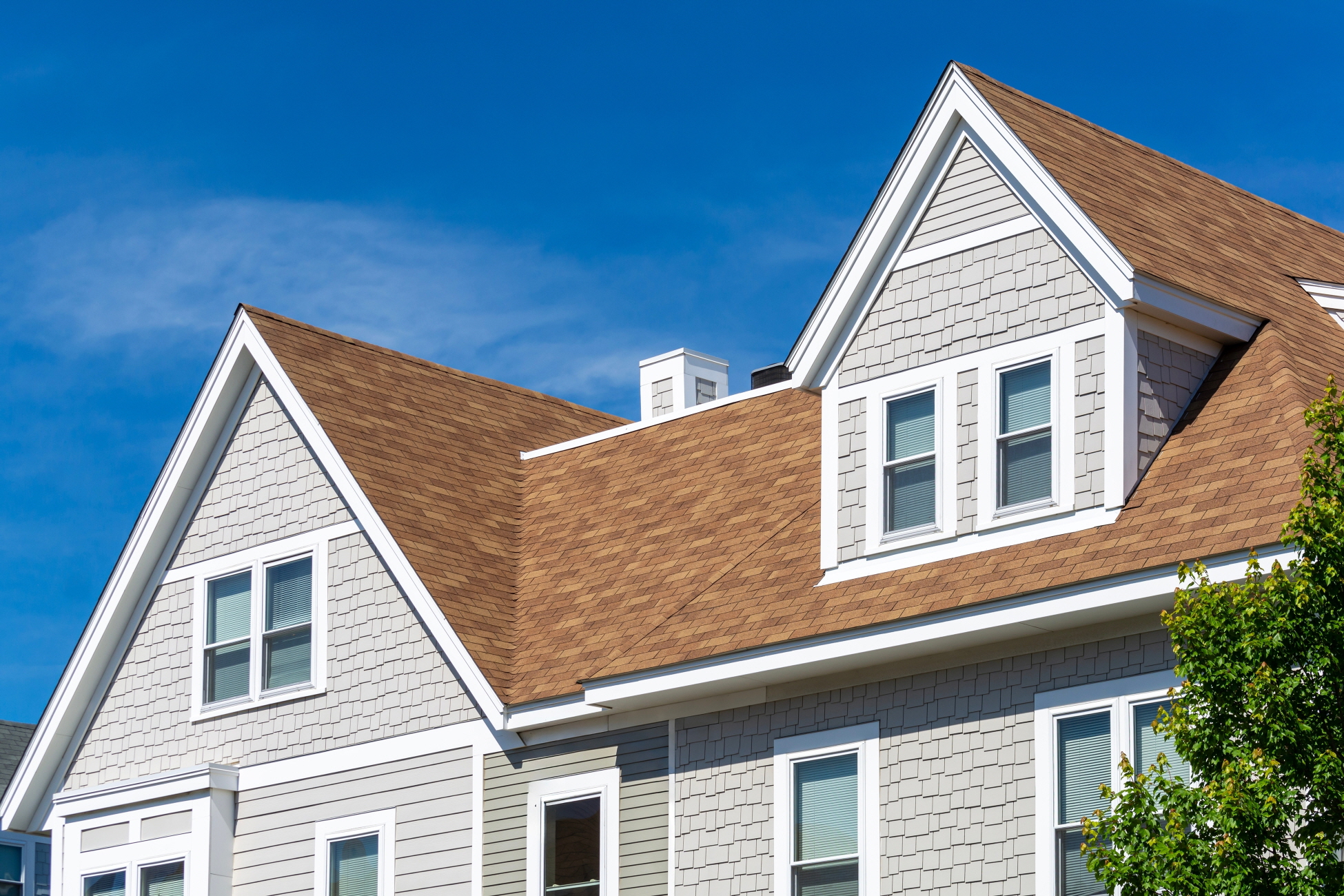 The roof is a striking feature that can elevate the overall look of your home.