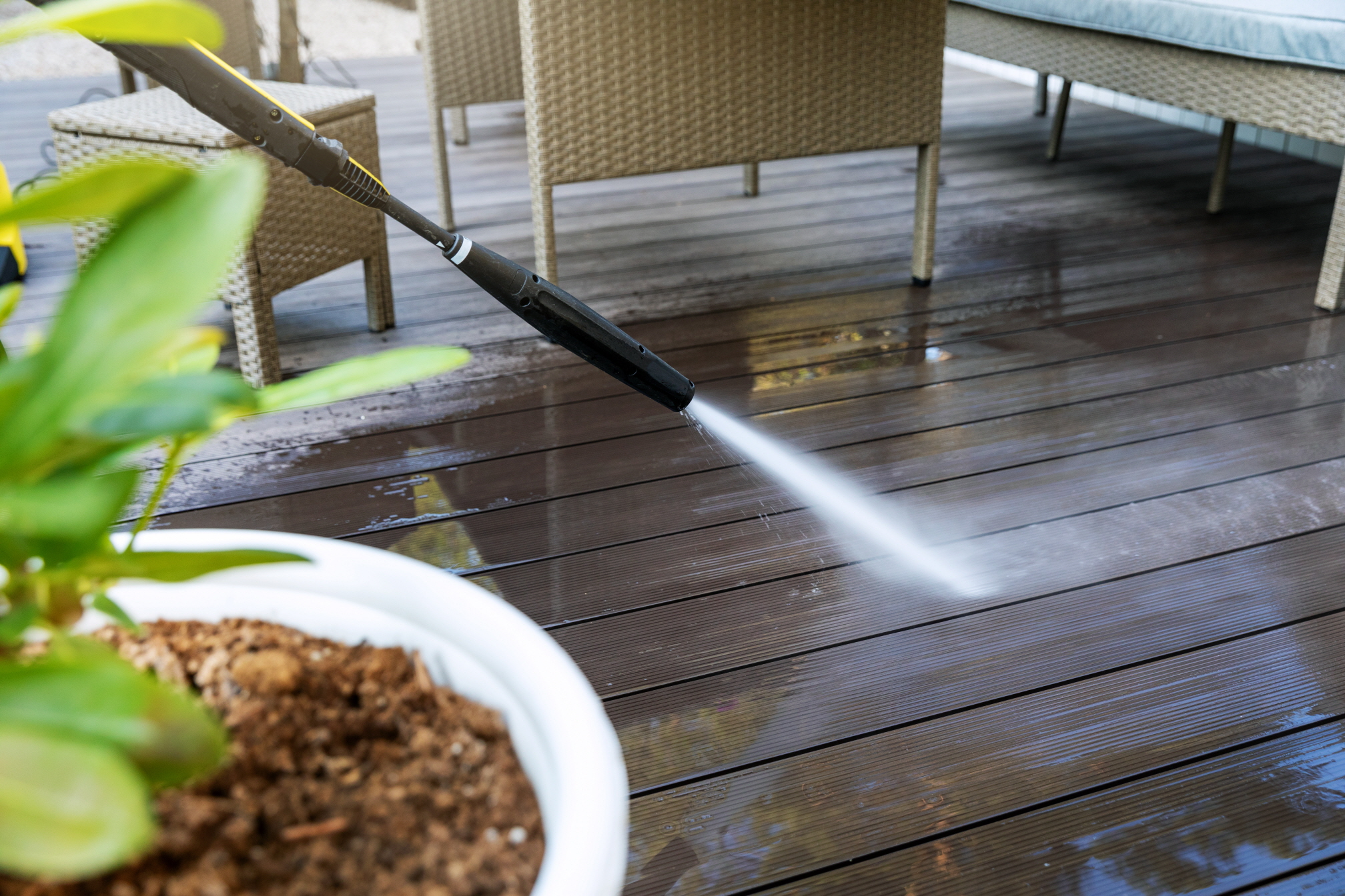 Clean your outdoor space and tend to the plants to enhance the atmosphere of your backyard.